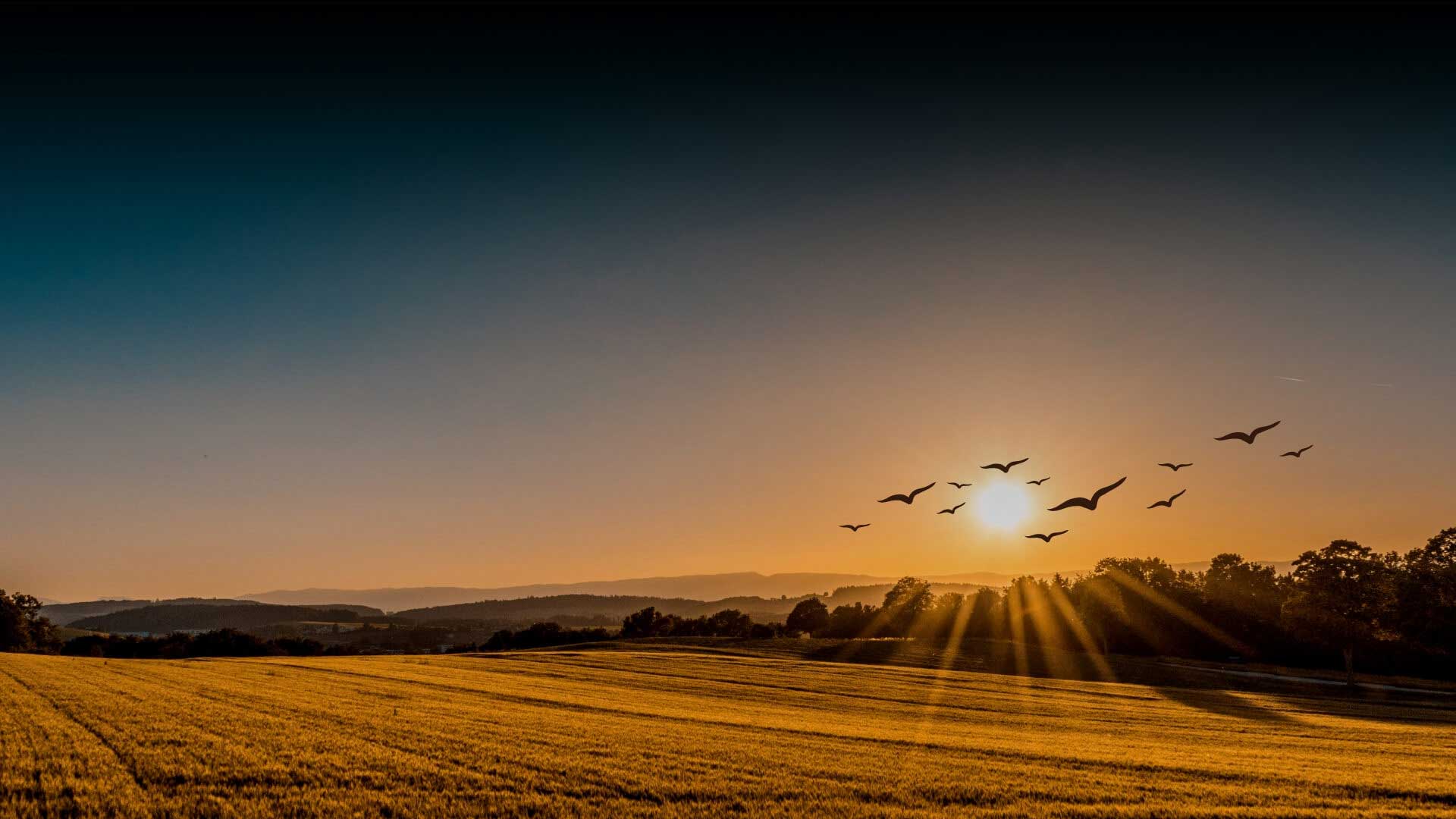 Arkade Upcoming Projects Thane Banner Image